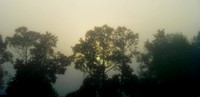 Another foggy sunrise