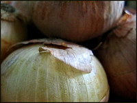 Onions in a Basket (detail)
