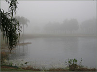 First Light and Fog at Pond