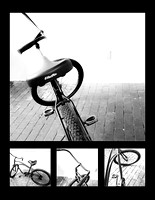 Bicycle Study