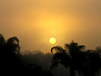 Rising Sun in Fog
